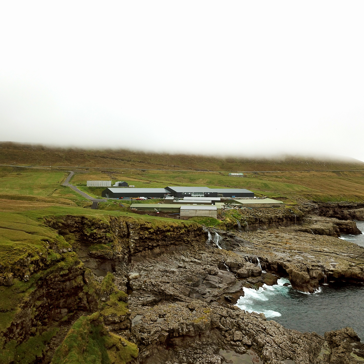 01 Jumbotron Bakkafrost Case