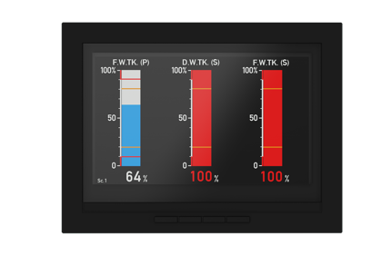 Xdi Customised Scales 005